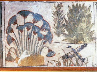 Canard entre les plantes, du Palais d
