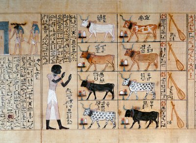 Papyrus représentant des bœufs, du Livre des Morts de Maiherperi - Egyptian 18th Dynasty