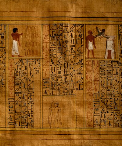 Portion du Livre des Morts avec texte en colonnes verticales de hiéroglyphes et inserts contenant des illustrations polychromes - Egyptian 18th Dynasty