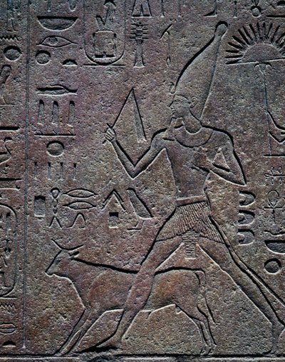 La reine Hatchepsout accompagnée par le taureau Apis lors des activités cérémonielles de la célébration du jubilé, relief, Temple d
