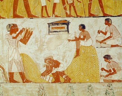Enregistrement de la récolte, de la tombe de Menna (peinture murale) - Egyptian 18th Dynasty