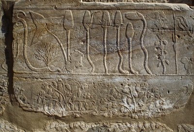 Relief d