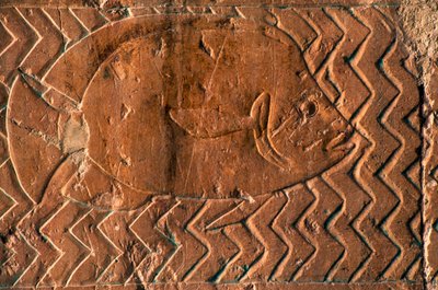 Représentation de poissons, scènes du Royaume de Pount, mur sud de la colonnade centrale, Temple mortuaire d