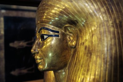 Sarcophage de Tjuya, de la tombe de Yuya Tjuya, Vallée des Rois, Égypte, civilisation égyptienne, Nouvel Empire, XVIIIe dynastie (détail) - Egyptian 18th Dynasty