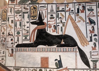Anubis Tombeau Nefertari - Egyptian 19th Dynasty