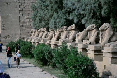 Avenue de sphinx à tête de bélier bordant le chemin processionnel vers le Grand Temple d