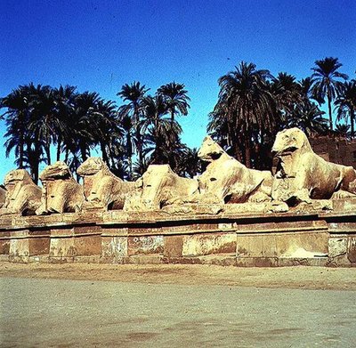 Avenue de sphinx à tête de bélier bordant la Voie Processionnelle vers le Grand Temple d