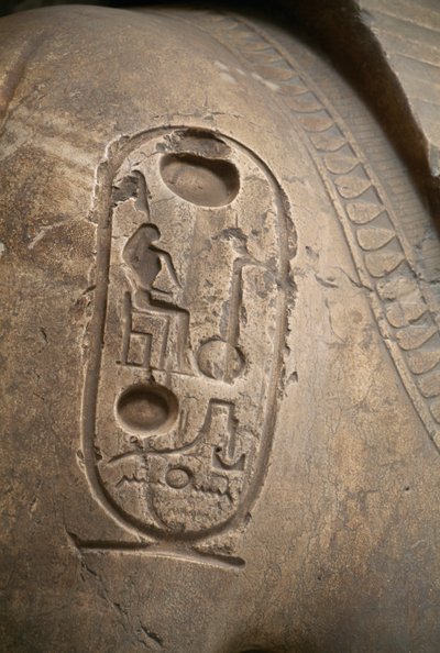 Cartouche sur le bras, gravure du Colosse de Ramsès II, Memphis (Liste du patrimoine mondial de l