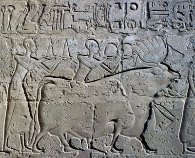 Personnages symbolisant les districts miniers apportant leurs tributs au dieu, relief, Cour de Ramsès II, Temple d