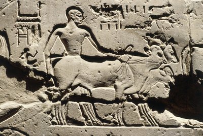 Égypte ancienne, Louxor, Temple de Louxor, Cour de Ramsès II, relief, Nouvel Empire, Dynastie XIX (1290-1224 av. J.-C.) - Egyptian 19th Dynasty