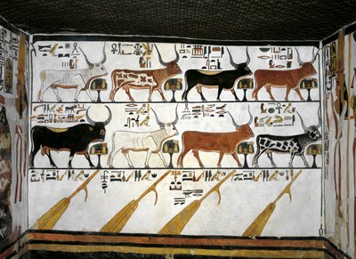 Égypte, Thèbes, Louxor, Vallée des Reines, Tombe de Néfertari, Annexe à l