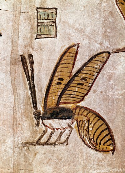Art égyptien : Tombe de Sethi I (Sety I ou Seti I, règne de -1294 à -1279). Détail de l