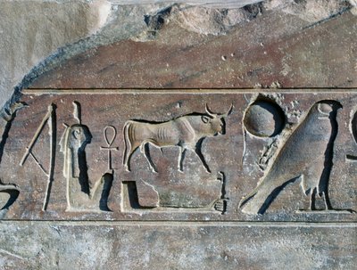 Hiéroglyphes avec le nom de Ramsès II, base de l
