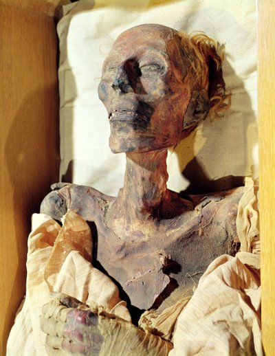 Corps momifié de Ramsès II (1304-1237 av. J.-C.) trouvé dans une tombe à Deir al-Bahri - Egyptian 19th Dynasty