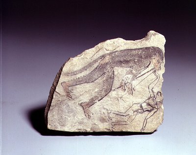 Ostracon avec une figure de singe jouant de la flûte, Nouvel Empire - Egyptian 19th Dynasty