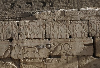 Relief, Temple de Ramsès II, Abydos, Égypte, civilisation égyptienne, Nouvel Empire, Dynastie XIX - Egyptian 19th Dynasty