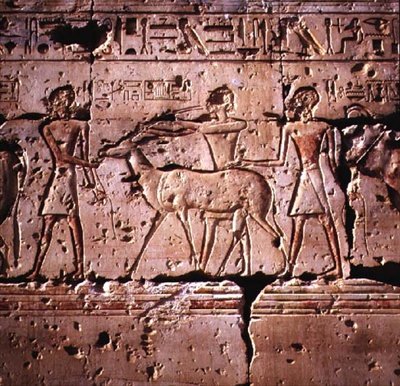 Relief représentant des oryx conduits en procession pour le sacrifice, du temple de Ramsès II, Nouvel Empire - Egyptian 19th Dynasty
