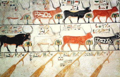 Les sept vaches célestes et le taureau sacré et les quatre gouvernails du ciel, de la tombe de Néfertari, Nouvel Empire (peinture murale) - Egyptian 19th Dynasty