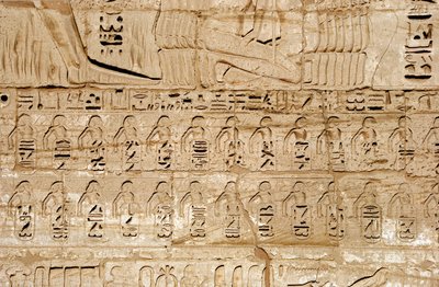Antiquité égyptienne : détail des reliefs du premier pylône représentant les emblèmes des villes conquises par le pharaon Ramsès III. Temple funéraire de Ramsès III (1187-1156 av. J.-C.). Louxor, Medinet Habou, Égypte - Egyptian 20th Dynasty