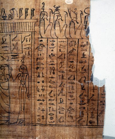 Le Livre des Morts: hiéroglyphe égyptien sur un papyrus - Egyptian 22nd Dynasty