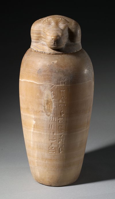 Vase canope avec tête de babouin, 664-525 avant J.-C. - Egyptian 26th Dynasty