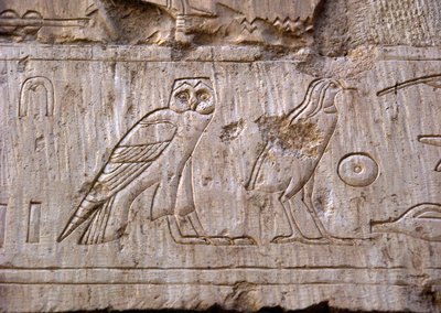 Antiquité égyptienne : relief représentant une chouette et un aigle. Tombe d