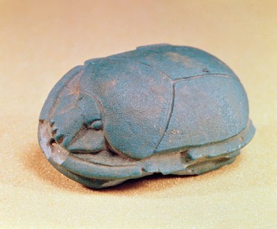 Scarabée du collier d