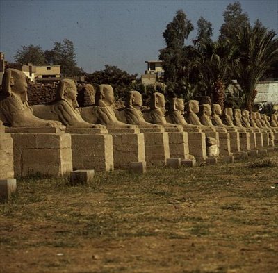 Avenue des Sphinx, ajoutée par Nectanébo I (380-362 av. J.-C.) Période tardive - Egyptian 30th Dynasty