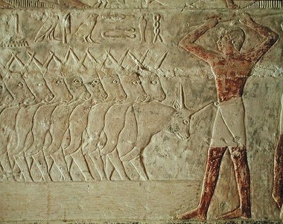 Relief représentant un conducteur encourageant un groupe de bovins, du mastaba de Mereruka, Ancien Empire - Egyptian 6th Dynasty Egyptian 6th Dynasty