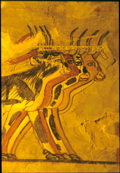 Égypte ancienne, Peinture murale, Tombe de Sennufer, Tombe des Nobles, Thèbes - Egyptian Egyptian