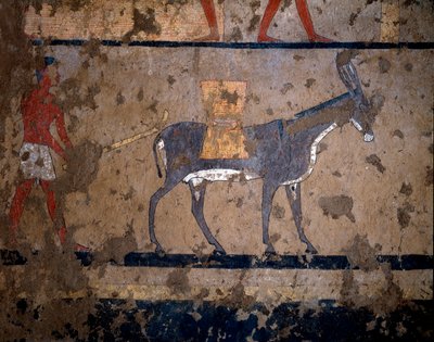 Antiquité égyptienne : le transport de grain sur le dos d