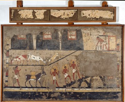 Antiquité égyptienne : le transport du blé sur le dos des mules et des hommes - Egyptian Egyptian