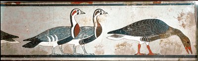 Oies, (détail) d