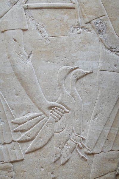Main tenant 2 oies par les ailes, tombe de Ramose - Egyptian Egyptian