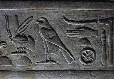 Hiéroglyphes, Abeille du Pharaon et Faucon d