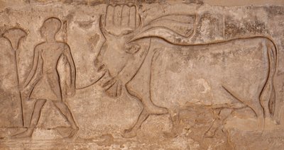 Homme tirant une vache, temple d