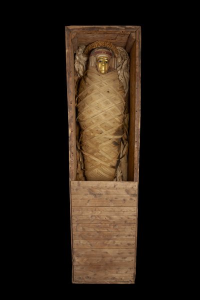 Momie dans un cercueil, de Hawara - Egyptian Ptolemaic Period