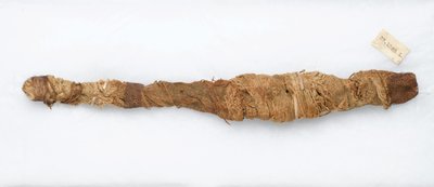 Momie de crocodile, trouvée à Manfalont, 305 av. J.-C.-30 av. J.-C. - Egyptian School
