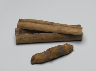 Petit cercueil de serpent, avec momie, 664 av. J.-C.-322 av. J.-C. - Egyptian School