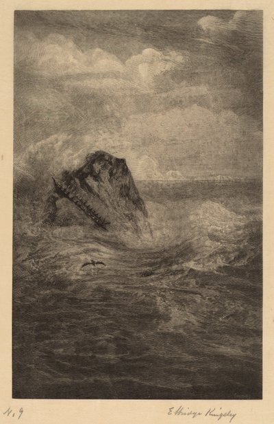 Un Rocher dans la Mer - Elbridge Kingsley