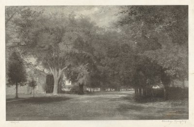 Ormes de la Nouvelle-Angleterre - Elbridge Kingsley