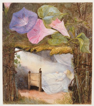 Dans la cabane, il n