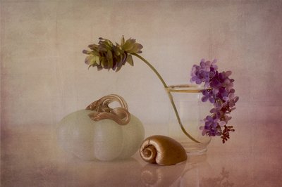 Nature morte délicate à la citrouille - Elena Arjona