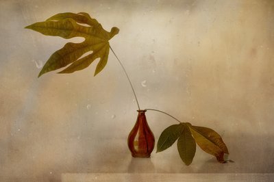 Nature morte aux feuilles dorées - Elena Arjona