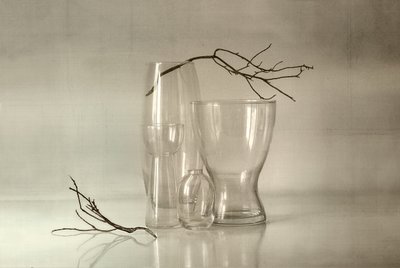 Nature morte sereine en verre - Elena Arjona