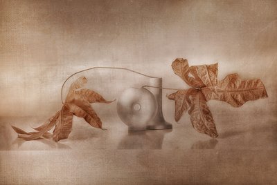 Réflexion automnale vintage - Elena Arjona
