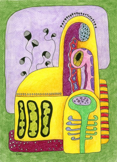  - Elena Khomutova-Miller