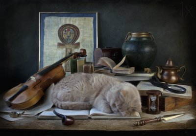 Le bureau du chat endormi - Eleonora Grigorjeva