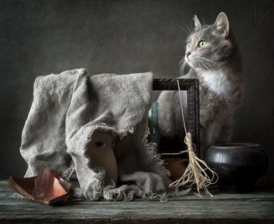 Nature morte vintage avec un chat - Eleonora Grigorjeva