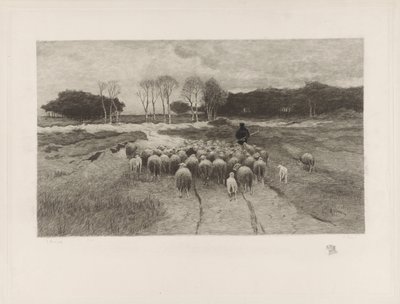 Berger - Elias Stark